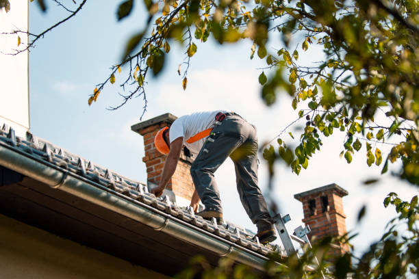 Residential Roof Replacement in Lake City, GA