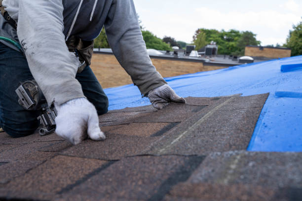 Best Roof Maintenance Services  in Lake City, GA